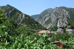 Kënga e grave në fshatin Selo. Foto Biant Cami.