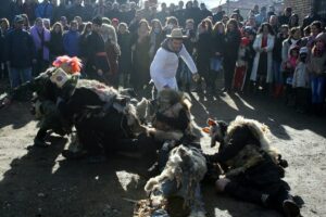 Arapët e Polenës doktori. Foto Fredi Manci.